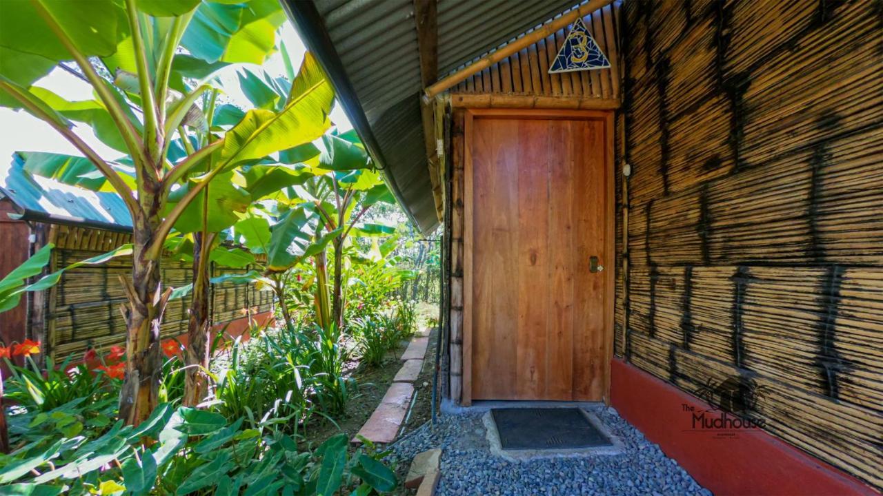 The Mudhouse Hostel Mompiche Exteriér fotografie