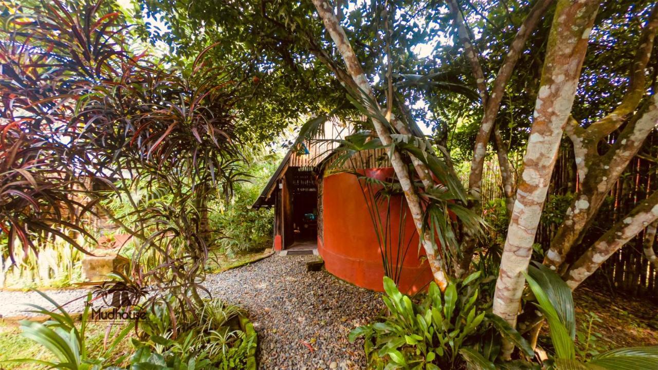 The Mudhouse Hostel Mompiche Exteriér fotografie