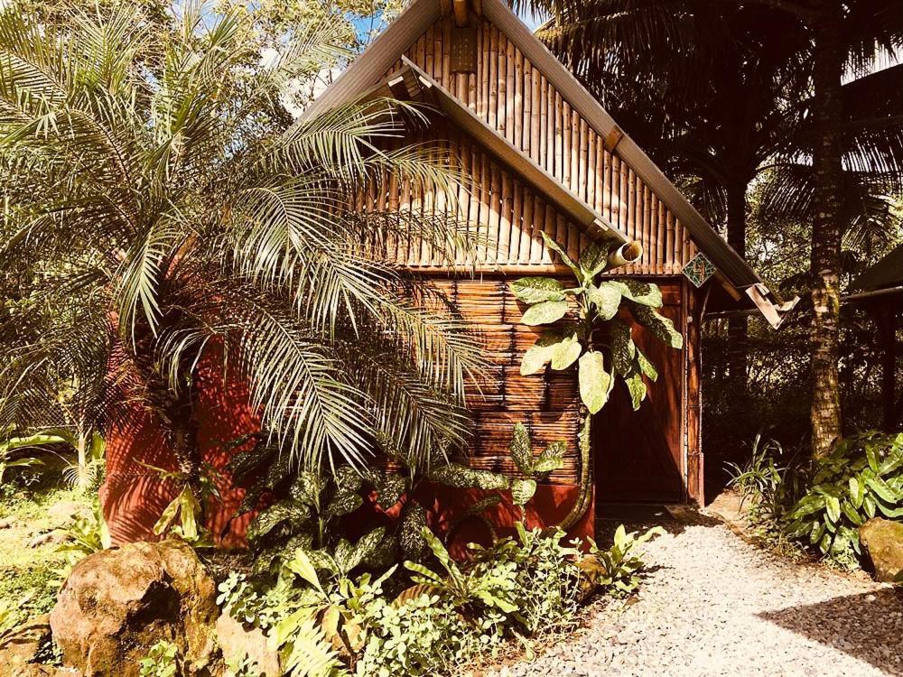 The Mudhouse Hostel Mompiche Exteriér fotografie